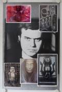 H.R. Giger Poster Prints (H.R. Giger Posterdrucke)